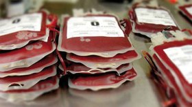 أخبار الجزائر ليوم الأربعاء 13 أفريل 2022