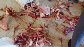 لحوم الحمير والبغال تغزو أسواق وهران