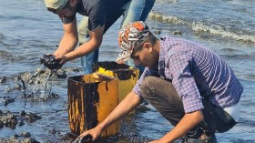 صورة التلوث النفطي بتونس بعد غرق سفينة.. هذه حقيقتها