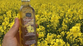 وزارة الفلاحة: لجنة تحقيق لبحث صعوبات إنتاج السلجم الزيتي في هذه الولايات!