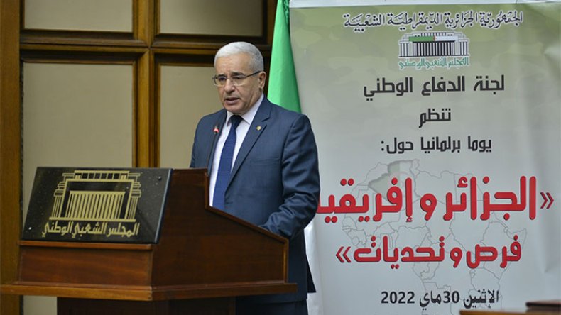 الجزائر ترفع الراية الحمراء ضد كل الانقلابات في أفريقيا