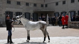 بالفيديو.. الرئيس الإيطالي يدعو الرئيس تبون لمشاهدة هدية الجزائر له