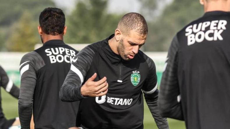 جديد سليماني