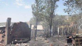 تفاصيل خطيرة في قضية حرق الغابات