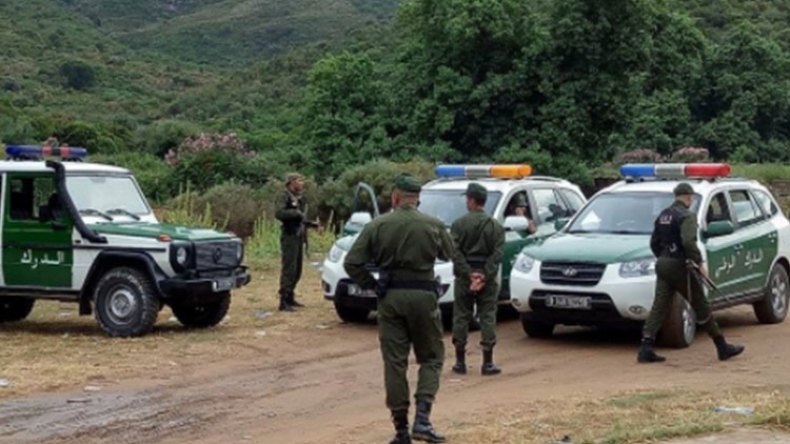 حصار على “لوبيات” الفحم والفلين لحماية الغابات