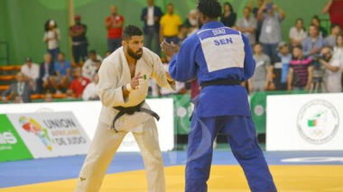 Championnat d’Afrique: Le renouveau du judo algérien