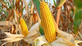 أخبار الجزائر ليوم الأربعاء 25 ماي 2022