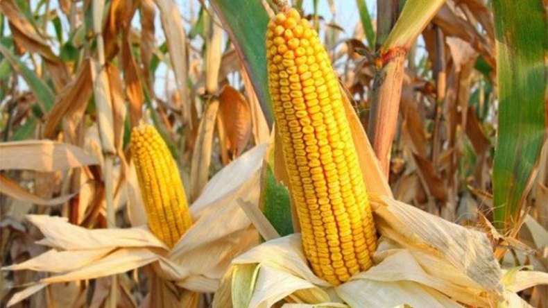 أخبار الجزائر ليوم الأربعاء 25 ماي 2022