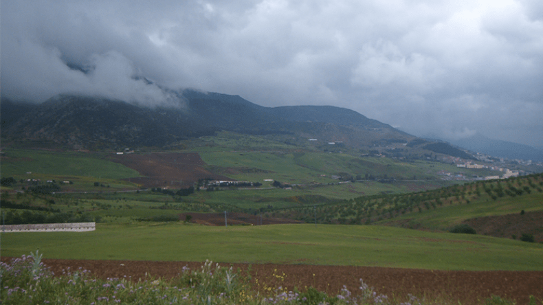 في بوقاعة وقرقور