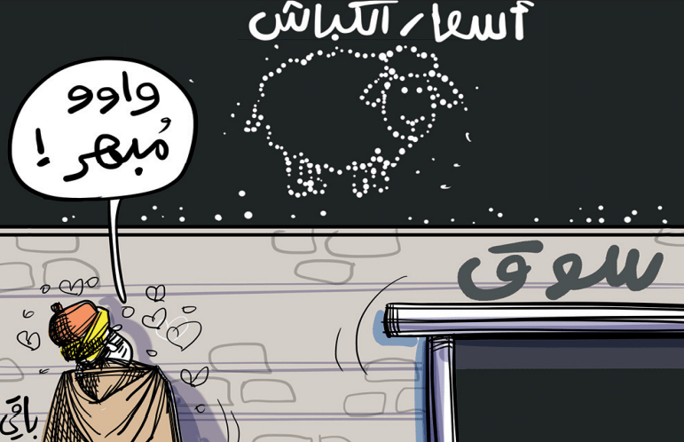 أسعار الكباش!