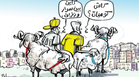 انتخابات الفاف