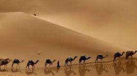 الدعوة النبوية.. رسالة عالمية أساسها الخير والعدل