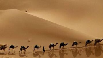 الدعوة النبوية.. رسالة عالمية أساسها الخير والعدل