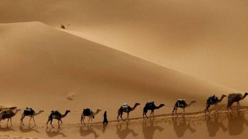 الدعوة النبوية.. رسالة عالمية أساسها الخير والعدل