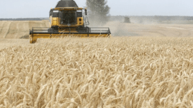 مدير وكالة الفضاء الروسية: أوكرانيا تعرقل تصدير الحبوب من أجل نشر المجاعة