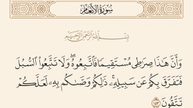 تمسّكوا بأصل الشّجرة