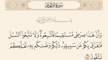 تمسّكوا بأصل الشّجرة