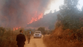 حرائق سكيكدة تخلف قتيلين وتلتهم مساحات كبيرة