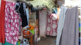 إسطبل للحيوانات يأوي 6 عائلات منذ نصف قرن بزرالدة !