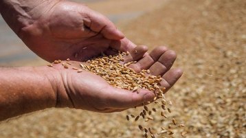 التخزين.. الطريق نحو التمكين