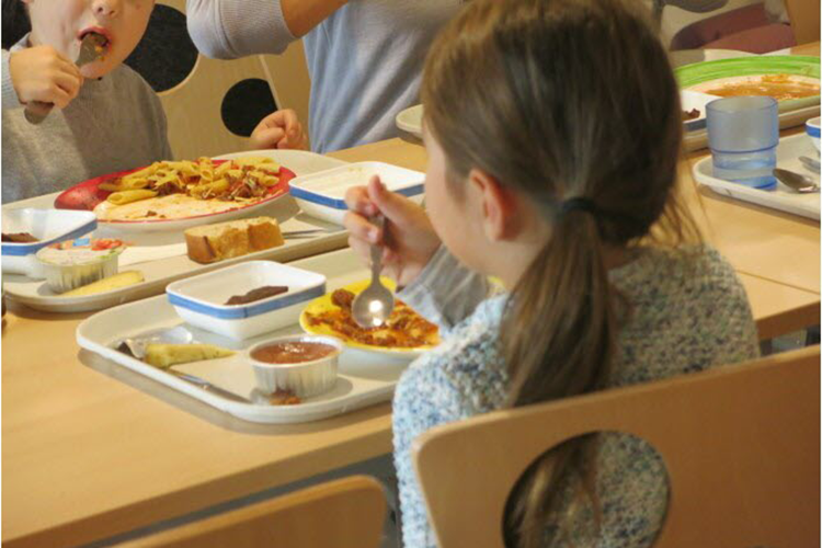 Grenoble (France): de “l’alcool” dans un dessert servi a la cantine scolaire