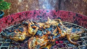 مشاوي أرانب وسمان وتونة على الطرقات