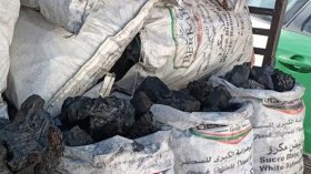 اكتشاف ورشة سرّية لتصنيع الفحم في عنابة