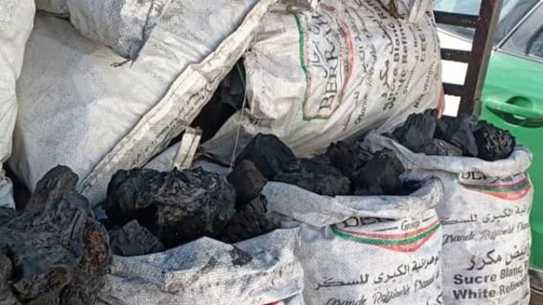 اكتشاف ورشة سرّية لتصنيع الفحم في عنابة