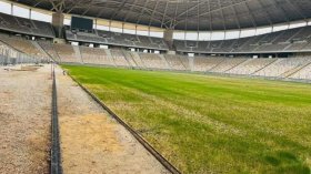 عشب طبيعي في ملعب براقي