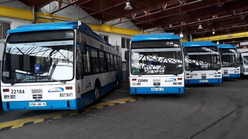 خطوط نقل جديدة بين الأحياء المعزولة والشواطئ بالعاصمة طيلة الصيف