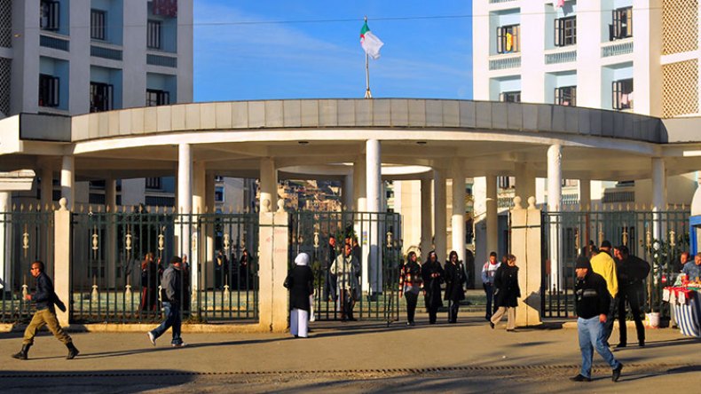 أشباهُ أمِّيين بشهاداتٍ عليا!