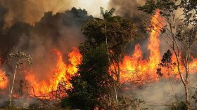 384 حريق عبر التراب الوطني منذ الفاتح ماي