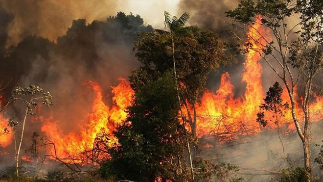384 حريق عبر التراب الوطني منذ الفاتح ماي