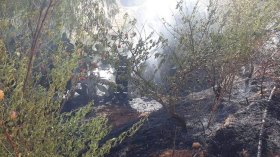 أغلب الحرائق سجلت على حواف الطرقات والمحاصيل