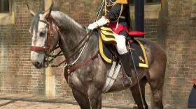 فرنسا تهدي الملكة إليزابيث حصانا احتفالا باليوبيل البلاتيني