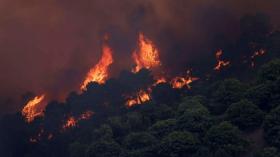 موجة حر وحرائق في غابات اسبانيا والبرتغال