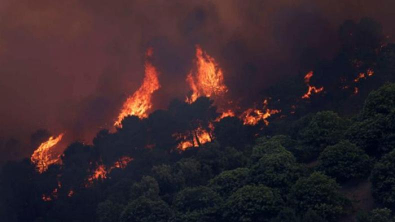موجة حر وحرائق في غابات اسبانيا والبرتغال