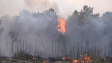 Algerian Firefighting Trucks Arrive In Tunisia To Help Put Out Forest Fires