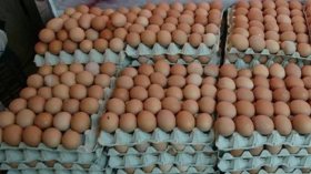 التهاب أسعار البيض يتواصل وحملات المقاطعة بلا جدوى