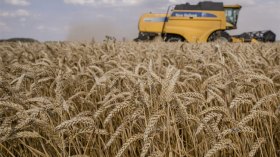 البترول الأخضر أمل الجزائريين الجديد