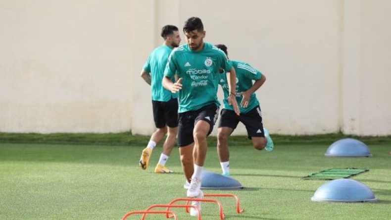 “موالي” في طريقه إلى فرنسا