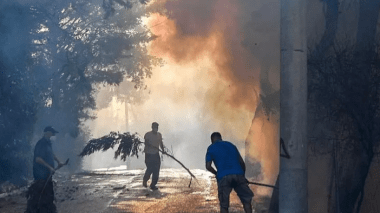 Feux de forêts: Le ministère de l’Agriculture annonce l’état d’alerte maximale en raison de la hausse des températures