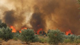 فيديو متداول لهروب الجيش المغربي من الحرائق يثير ضجة