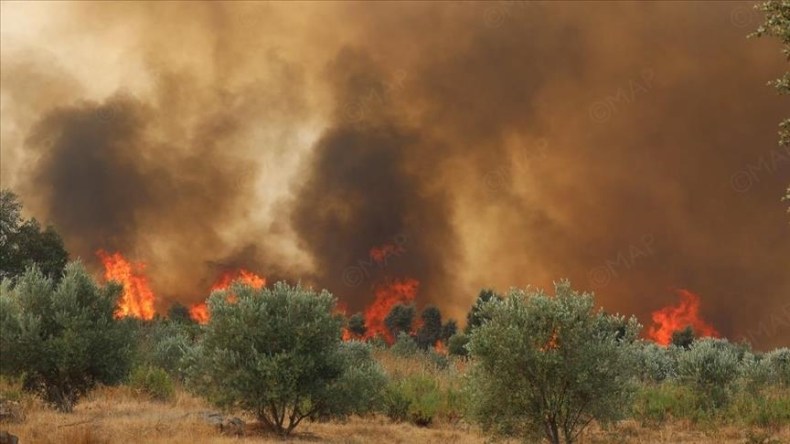 فيديو متداول لهروب الجيش المغربي من الحرائق يثير ضجة