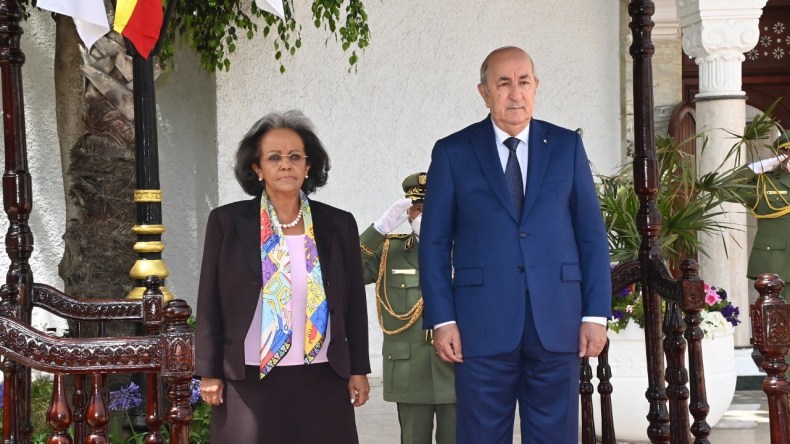 الرئيس تبون يعلن عن فتح خط جوي بين الجزائر وإثيوبيا