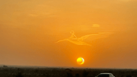 تشكّل غيوم على هيئة إنسان في سماء السعودية وليس مصر (فيديو)