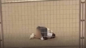 هذا ما قالته العداءة “بسنت” بعد جدل سجودها خلال الألعاب المتوسطية!