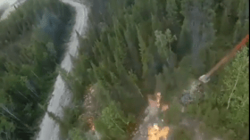 درون إسرائيلية وراء حرائق المغرب وتونس.. فيديو يحدث ضجة