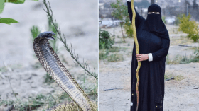 شاهد.. سعودية تقبّل الكوبرى ولا تخاف من الثعابين!
