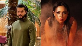 فنانة كويتية تثير جدلا بمنشور الحمار الذي أكل الوردة.. من المقصود؟